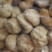 猴头菇猴头菇粉猴头菇大量上市，产地直发，品质保证，