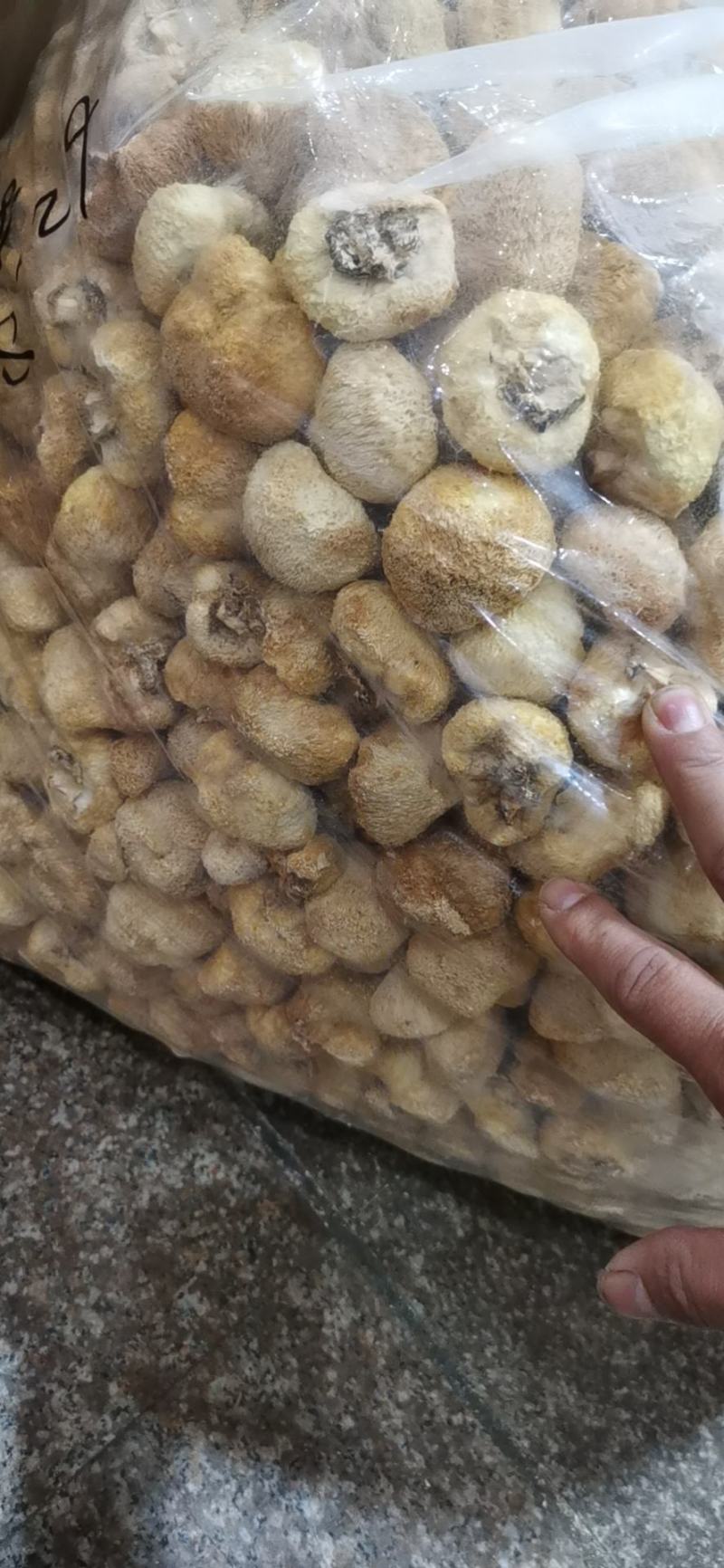 猴头菇猴头菇粉猴头菇大量上市，产地直发，品质保证，