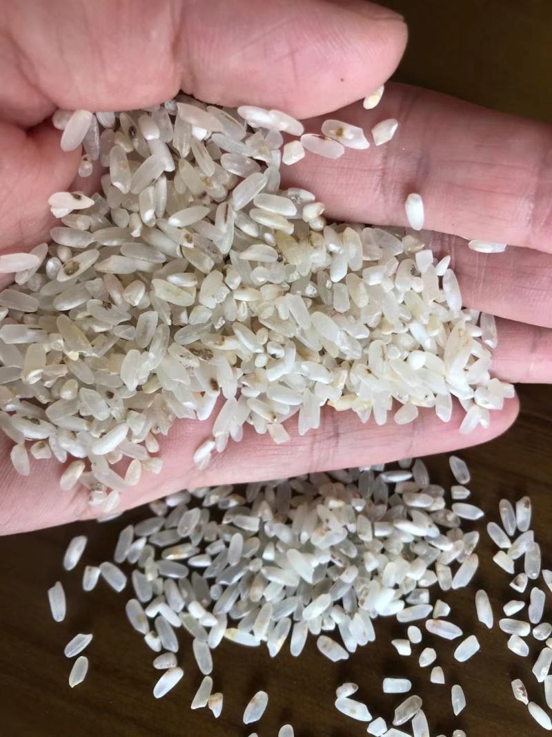 新鲜长粒香色选米酒米碎米鸡食米大量现货源地工厂货靓价优