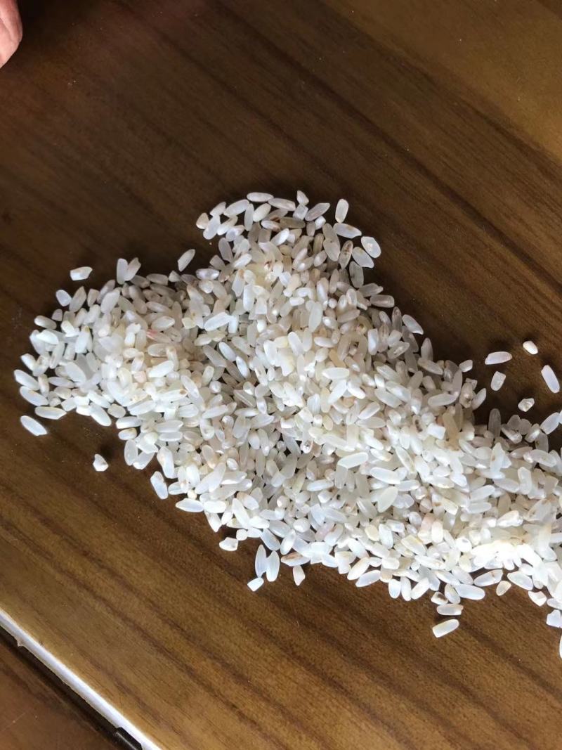 新鲜长粒香色选米酒米碎米鸡食米大量现货源地工厂货靓价优