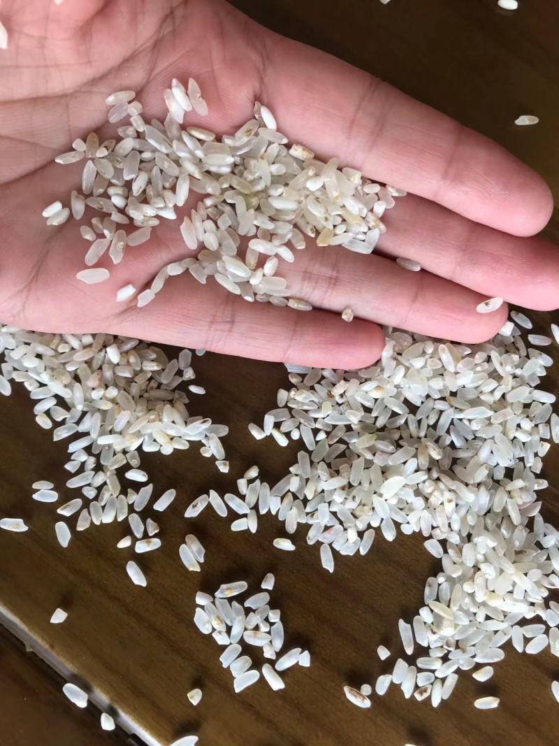 新鲜长粒香色选米酒米碎米鸡食米大量现货源地工厂货靓价优