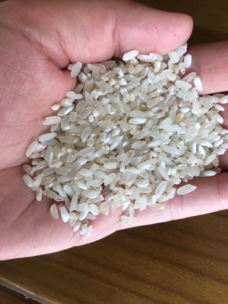 新鲜长粒香色选米酒米碎米鸡食米大量现货源地工厂货靓价优