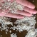 新鲜长粒香色选米酒米碎米鸡食米大量现货源地工厂货靓价优