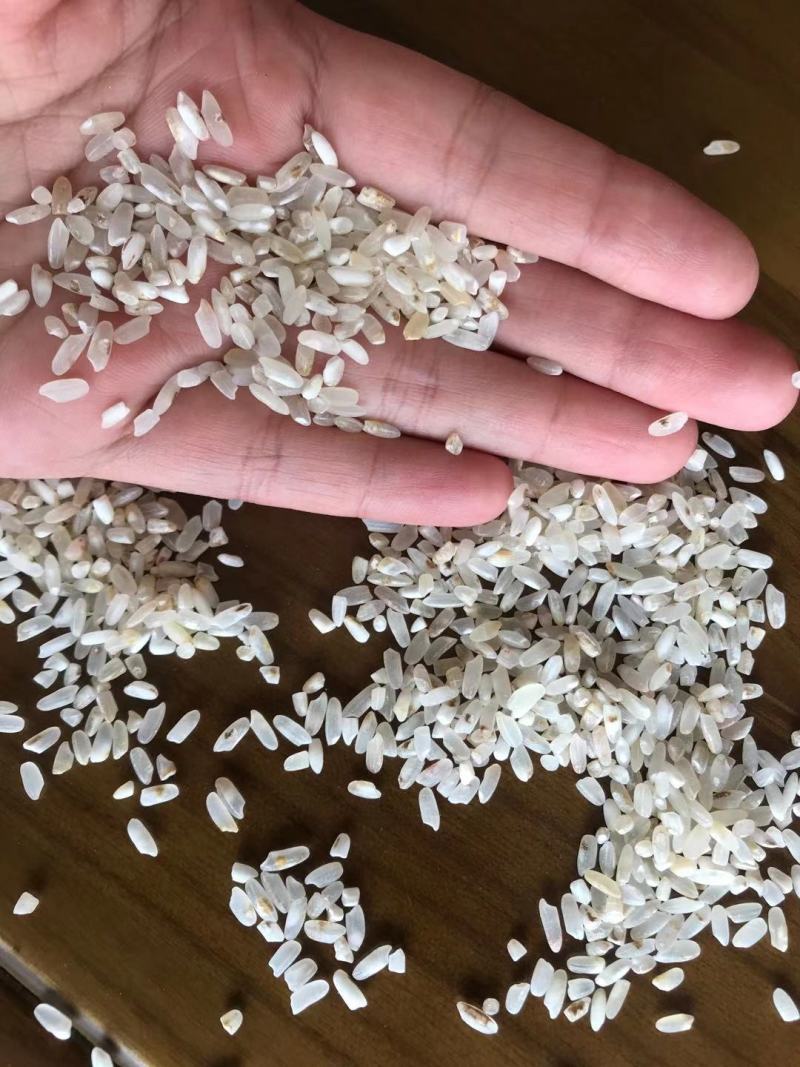 新鲜长粒香色选米酒米碎米鸡食米大量现货源地工厂货靓价优