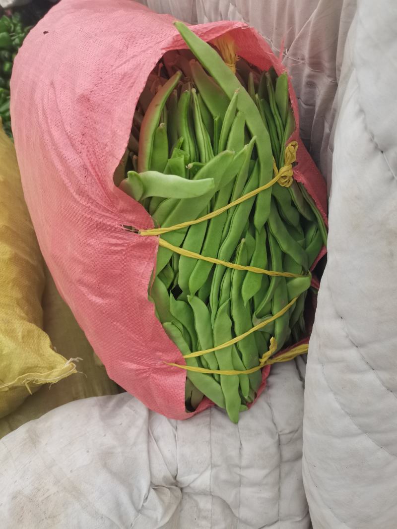 山东省聊城市莘县绿扁豆。产地无中间差价。