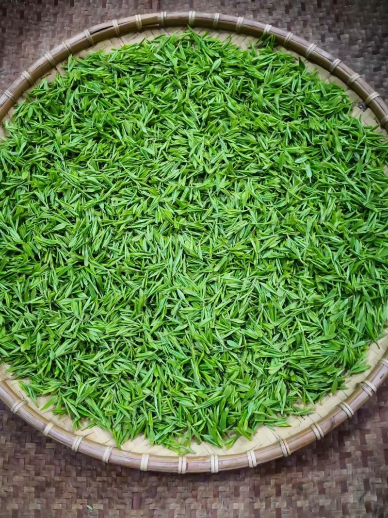 清明前新茶。口感更好