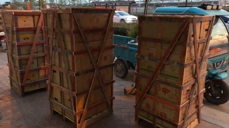 蛋鸭种蛋金定绿壳蛋鸭种蛋受精蛋可孵化小鸭新鲜蛋养殖场直销