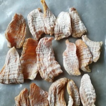 干笋片来电定制加工，质量保证