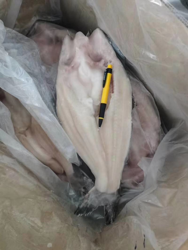 带皮不带皮鱼柳开背等等各种品格巴沙鱼都有价格可谈