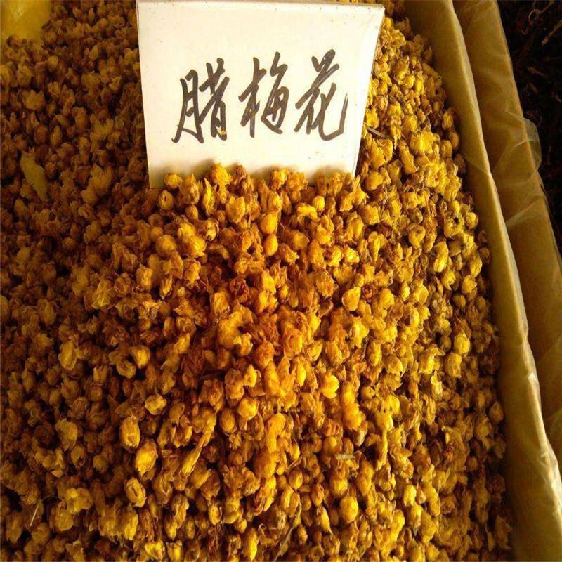 腊梅花茶新花腊梅花干茶蜡梅花中药材腊梅花干花泡茶泡水