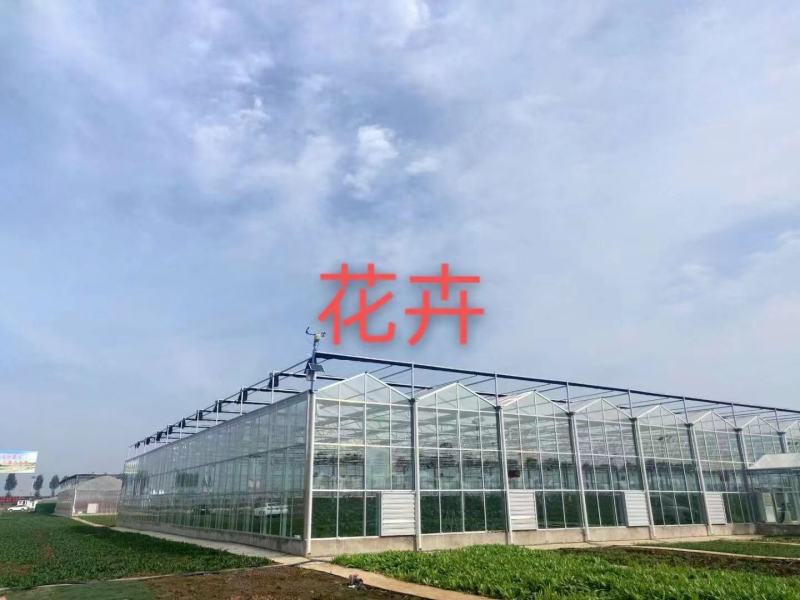 光伏大棚，简易联体大棚，联动大棚，锯齿棚，温室大棚