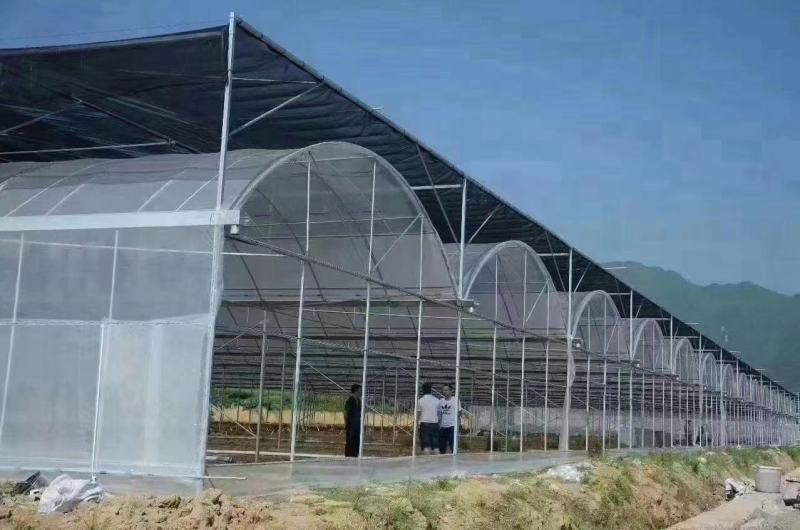 光伏大棚，简易联体大棚，联动大棚，锯齿棚，温室大棚