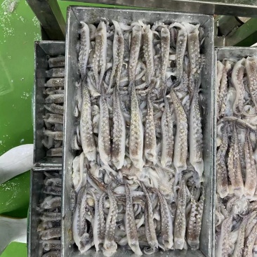 鱿鱼产品可加工可贴牌