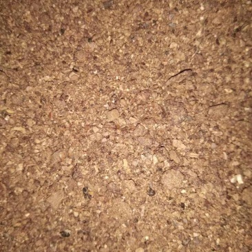 优质茶片饼、茶片、清塘消毒茶片饼，公司大量供应全国