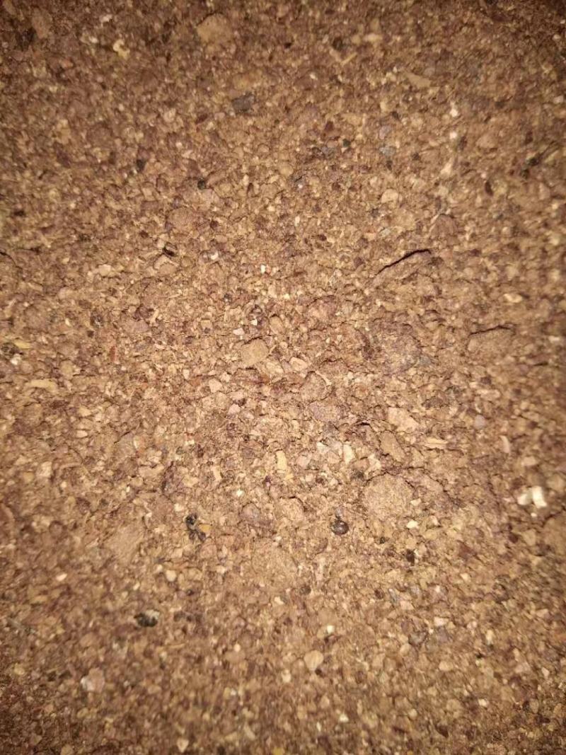优质茶片饼、茶片、清塘消毒茶片饼，公司大量供应全国