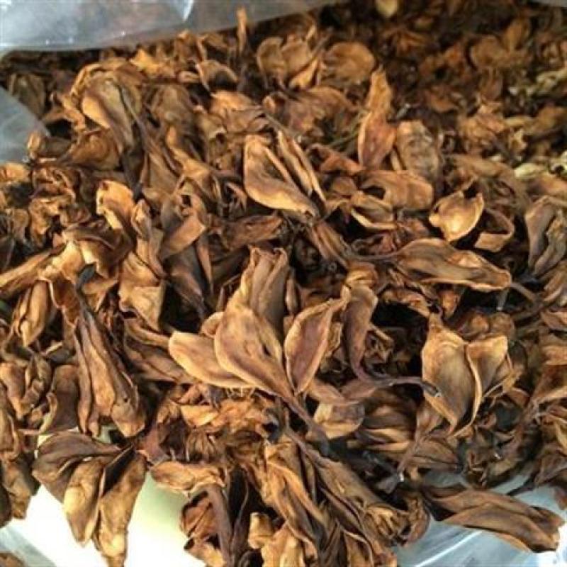 鸡蛋花冷背药材产地直发货好要多优惠