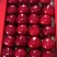 大樱桃，一等货，裂口都有