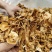 开伞茶树菇2022新货一手货源价格便宜地摊跑江湖必备款