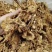 开伞茶树菇2022新货一手货源价格便宜地摊跑江湖必备款