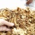 开伞茶树菇2022新货一手货源价格便宜地摊跑江湖必备款