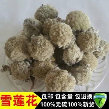 产地野生中药材藏雪莲正品雪莲花散装包邮