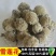 产地野生中药材藏雪莲正品雪莲花散装包邮