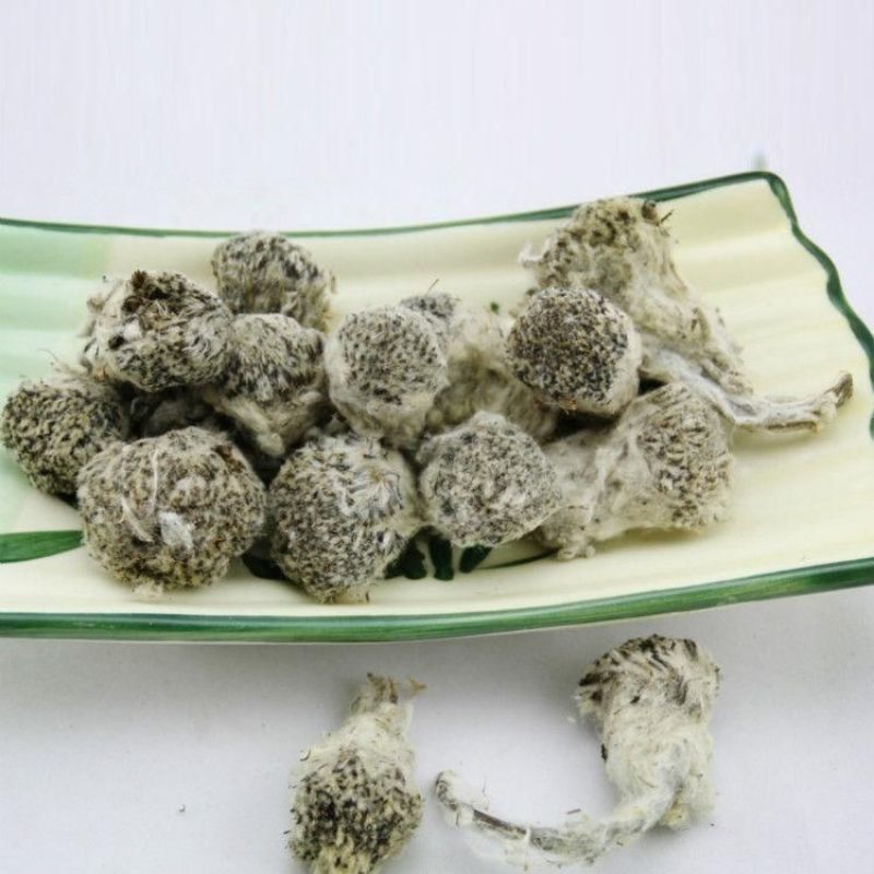 产地野生中药材藏雪莲正品雪莲花散装包邮