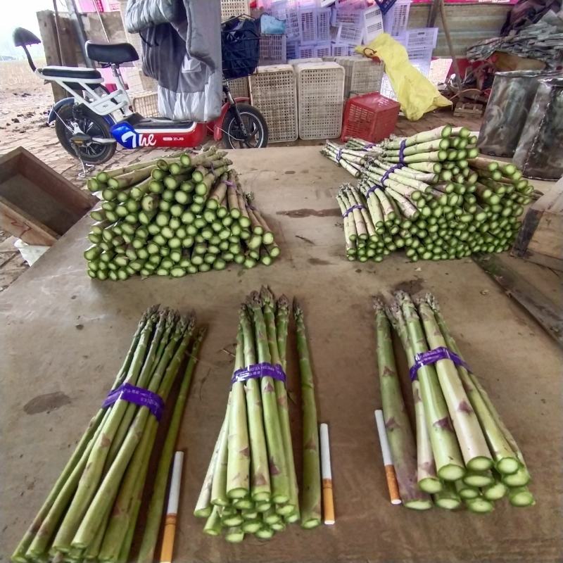 漯河百亩基地，新鲜采摘，保质保量，量大从优