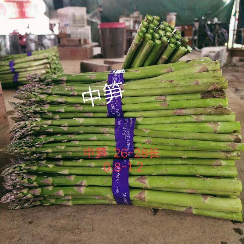 漯河百亩基地，新鲜采摘，保质保量，量大从优
