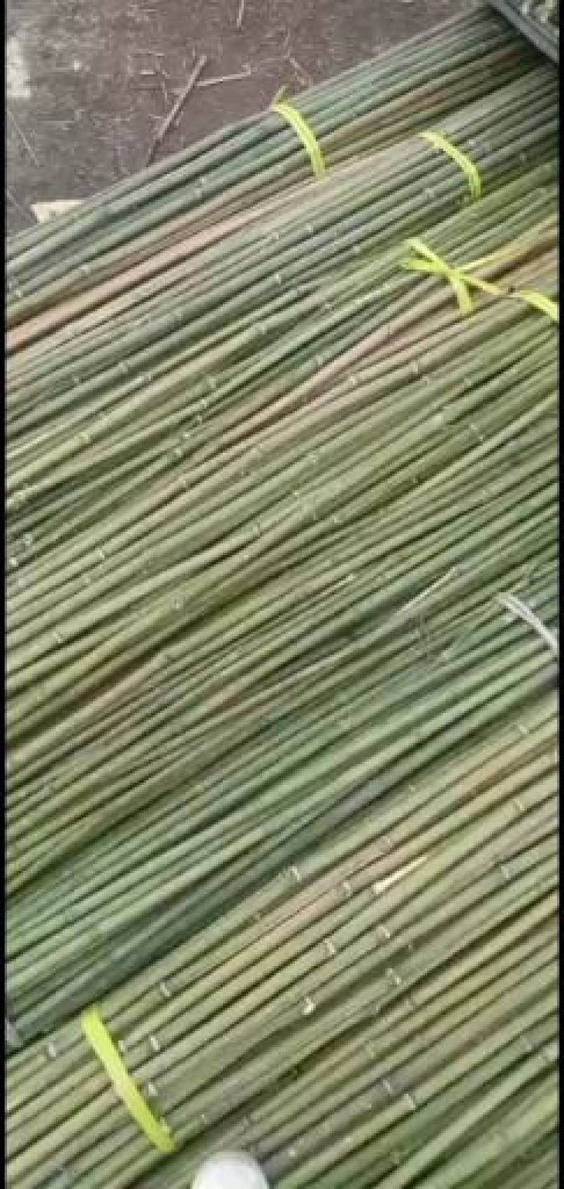 蔬菜竹杆菜架竹支撑杆豆角架黄瓜架冬瓜架西红柿架杆