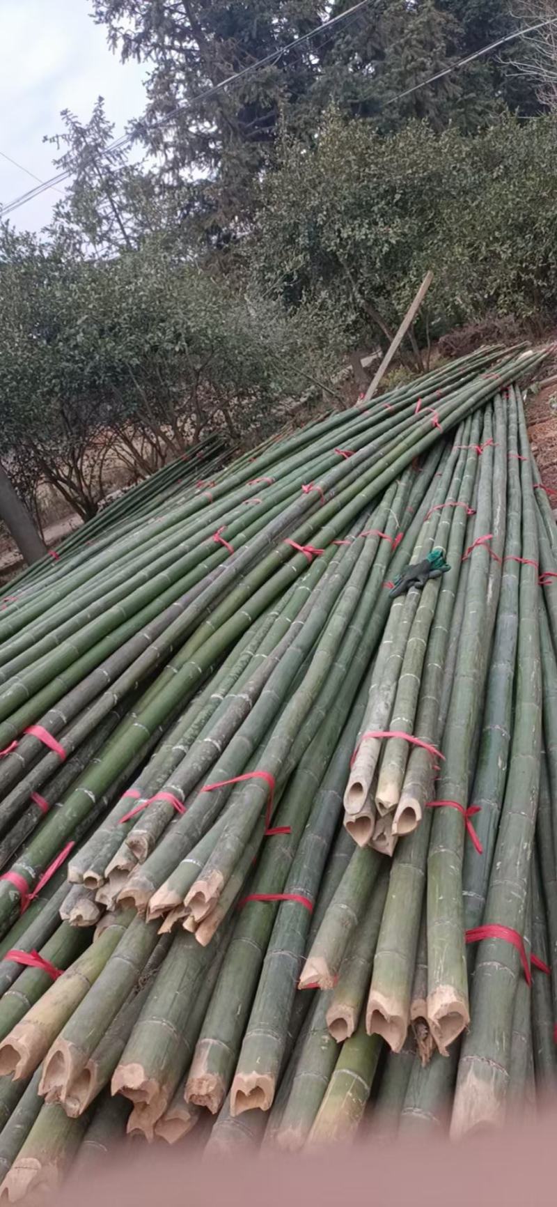 蔬菜竹杆菜架竹支撑杆豆角架黄瓜架冬瓜架西红柿架杆