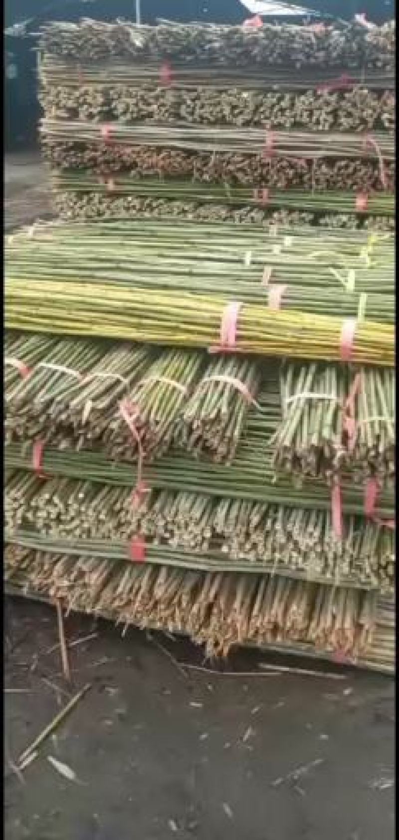 蔬菜竹杆菜架竹支撑杆豆角架黄瓜架冬瓜架西红柿架杆