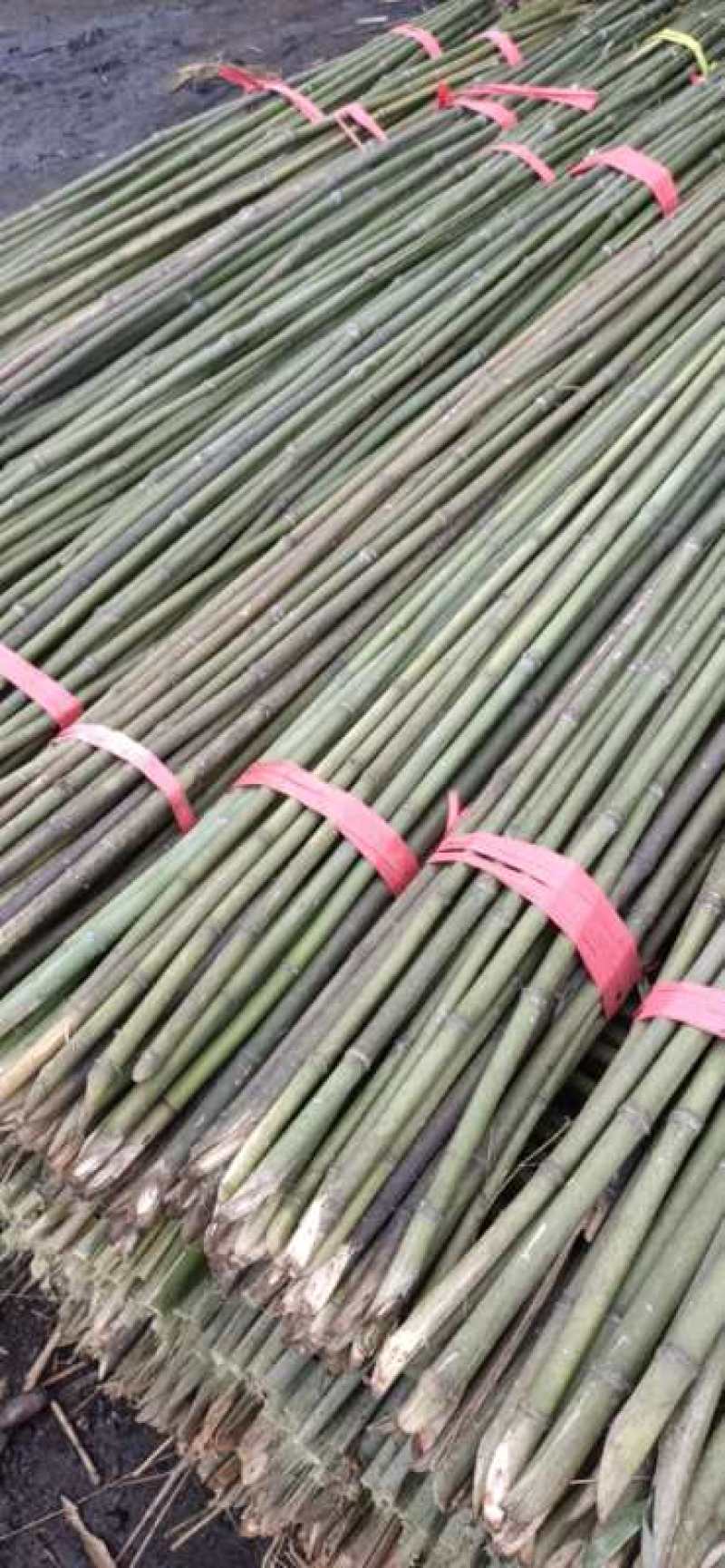 蔬菜竹杆菜架竹支撑杆豆角架黄瓜架冬瓜架西红柿架杆