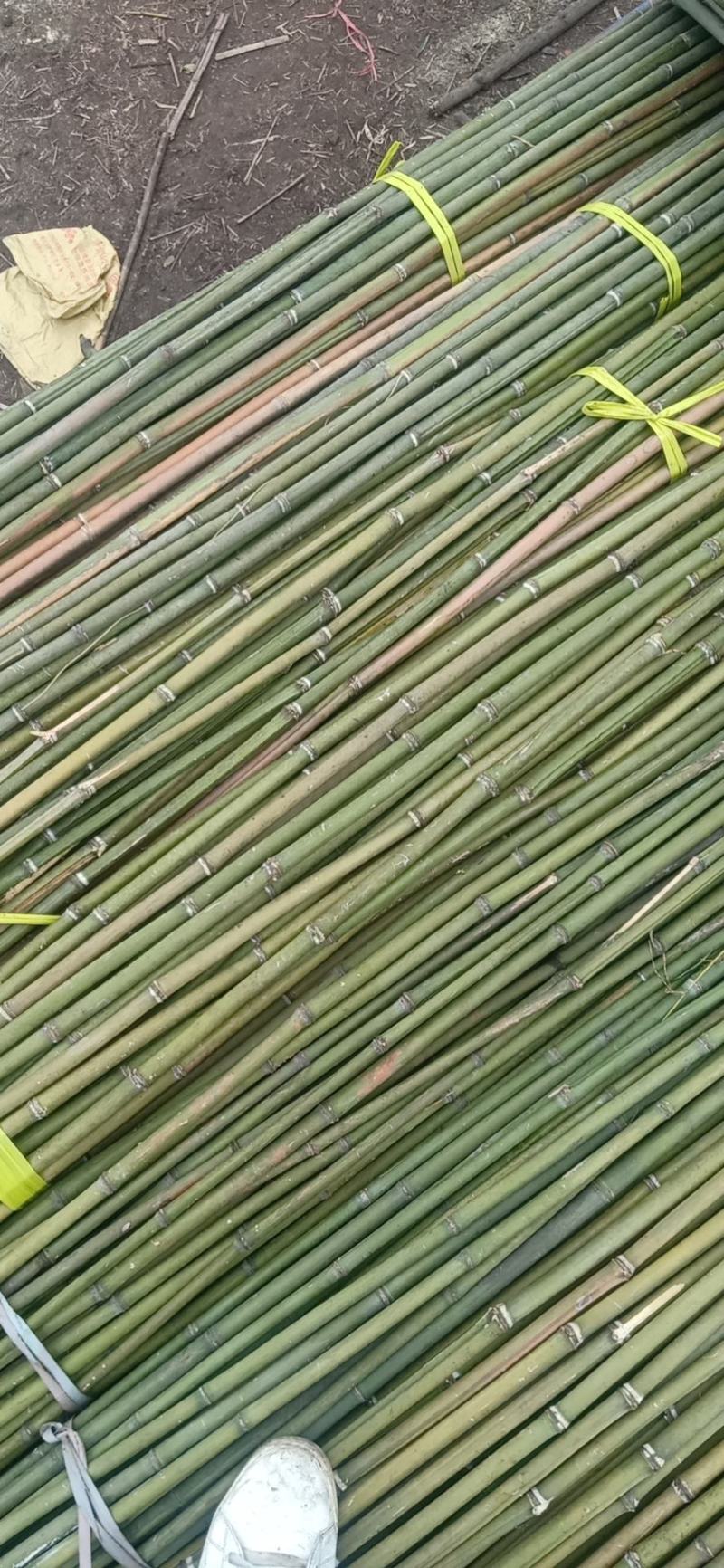 蔬菜竹杆菜架竹支撑杆豆角架黄瓜架冬瓜架西红柿架杆
