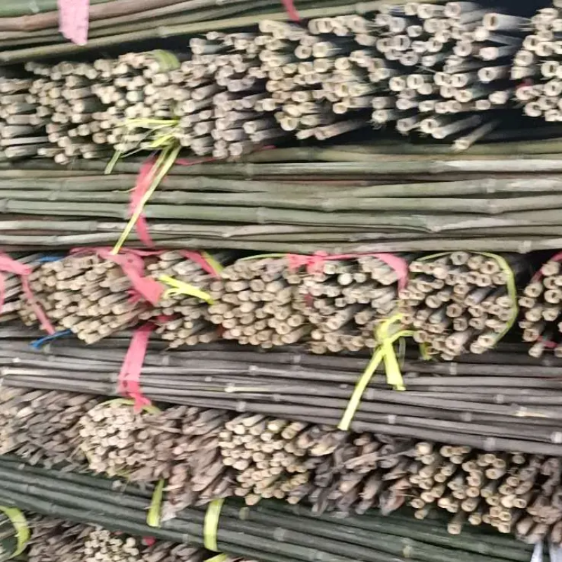 蔬菜竹杆菜架竹支撑杆豆角架黄瓜架冬瓜架西红柿架杆