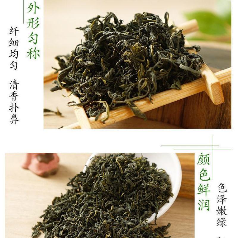 福建龙岩高山绿茶正宗高山云雾绿茶手工制作