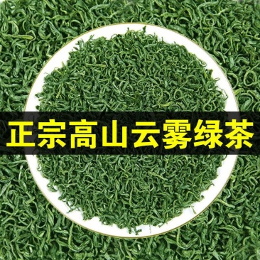 福建龙岩高山绿茶正宗高山云雾绿茶手工制作