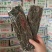 海带丝，干海带丝，颜色绿，无黄叶，无碎渣