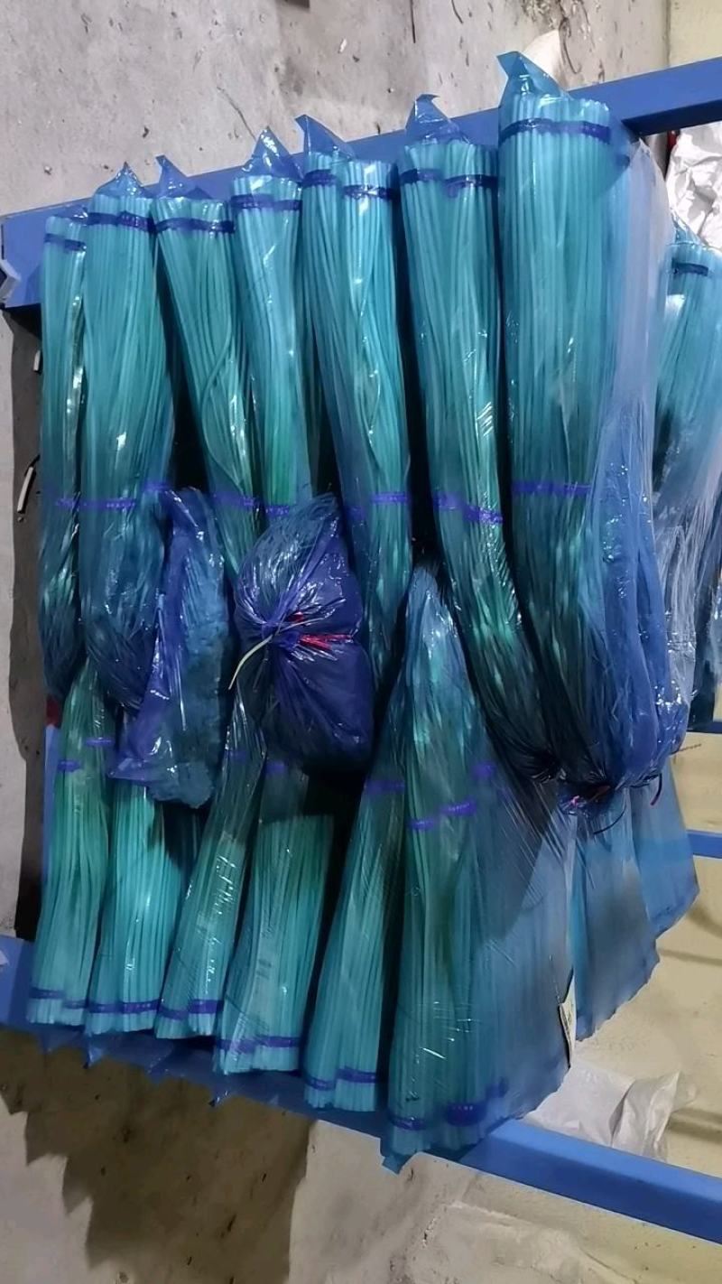 山东金乡红帽蒜薹大量供应常年有货可发全国各地