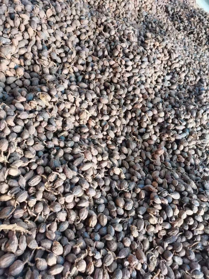 干草果八角肉桂欢迎来电