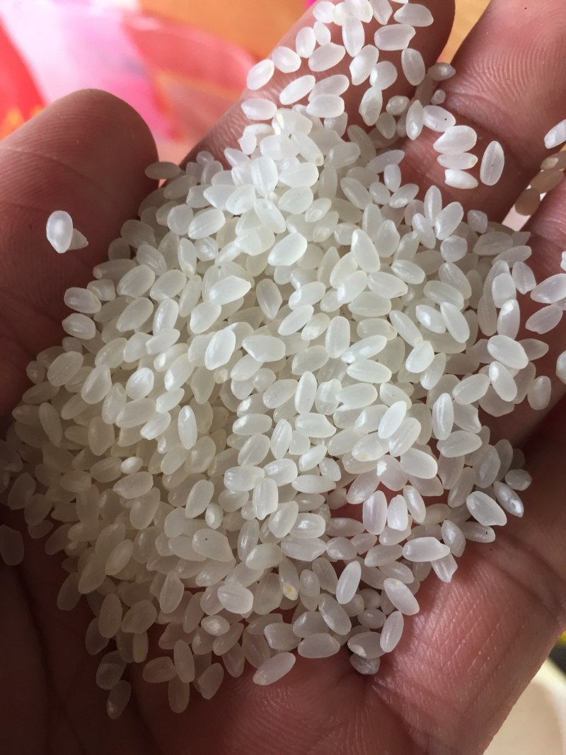 英德美香粘米，米香美味可口，家庭食品推荐，
