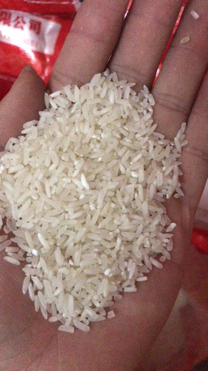 英德美香粘米，米香美味可口，家庭食品推荐，