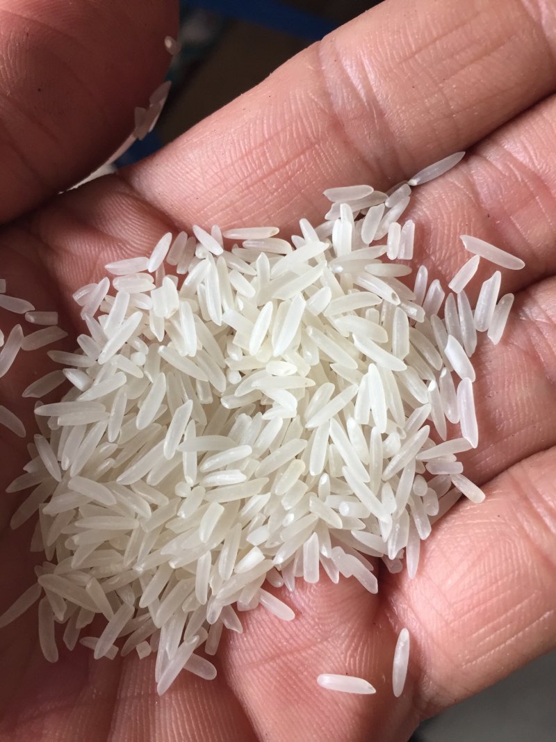 英德美香粘米，米香美味可口，家庭食品推荐，