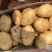 精品土豆🥔丽薯六号3两起步纸箱包装开远中和营