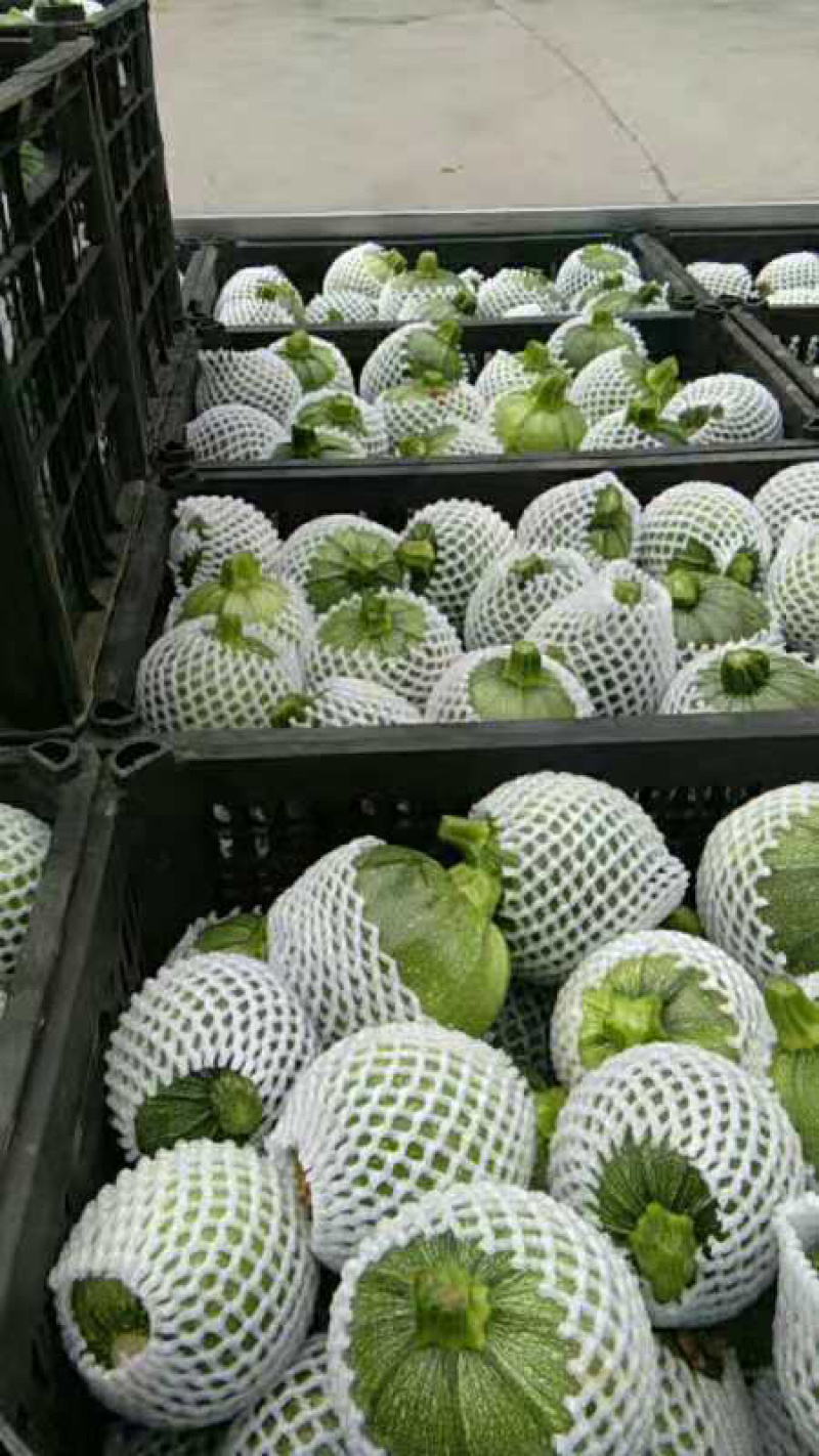 花皮南瓜5~8两扁圆形。质量好。基本都是好货。