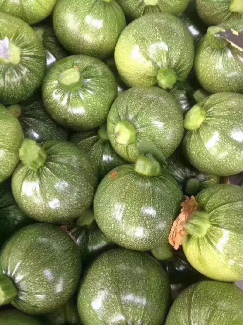 花皮南瓜5~8两扁圆形。质量好。基本都是好货。