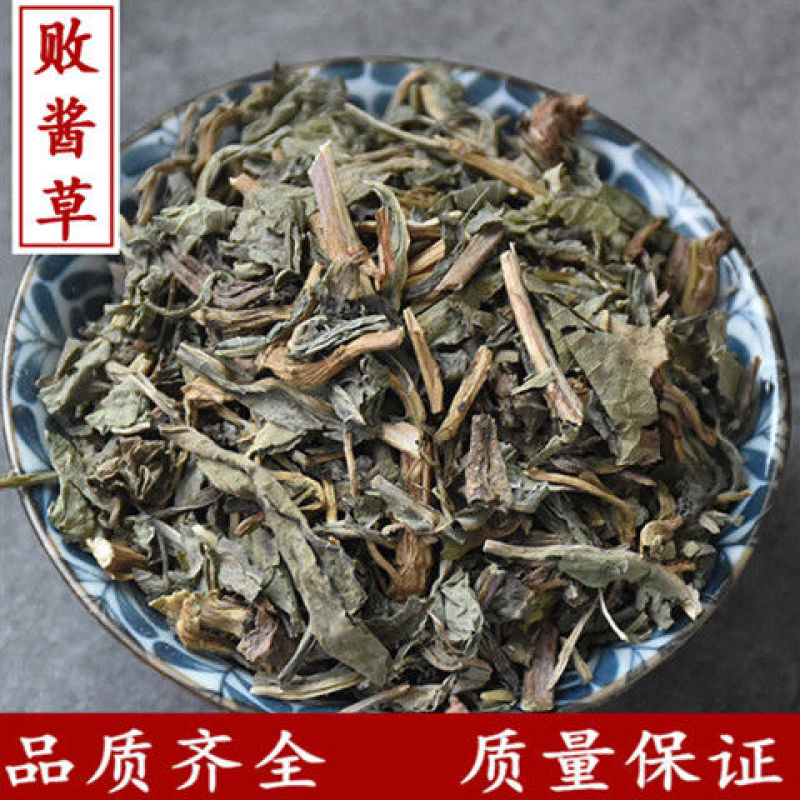 败酱草产地直发产地山东量大优惠不满意可以退换
