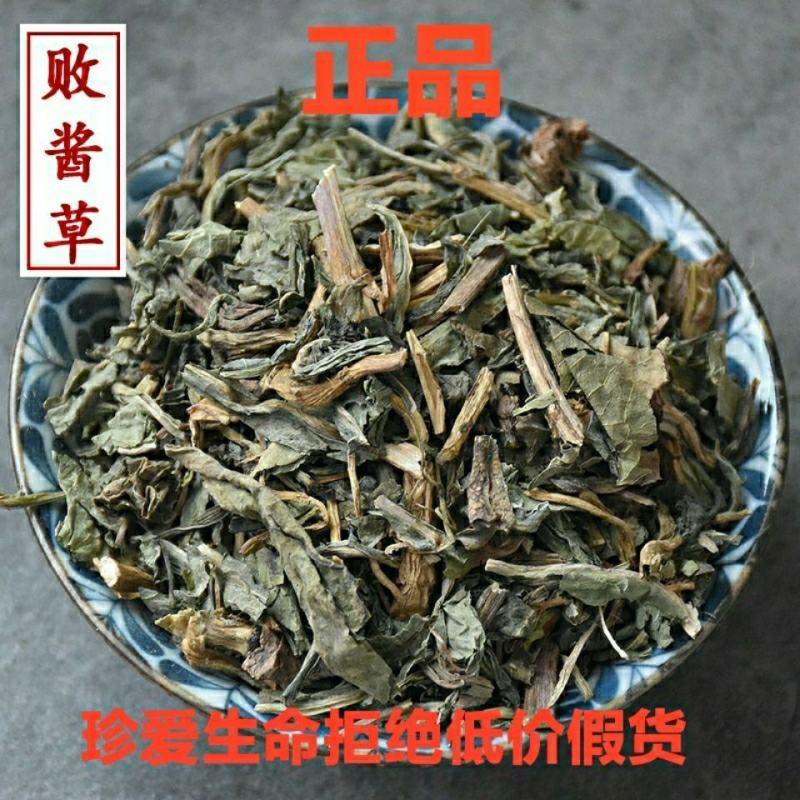 败酱草产地直发产地山东量大优惠不满意可以退换