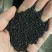满天星花种子家庭阳台盆栽种植四季易种花草籽切花垂吊