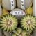 鲁厚甜玫珑、库拉瓜对接各大商超、档口供应各大电商、社区